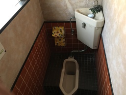 Before画像