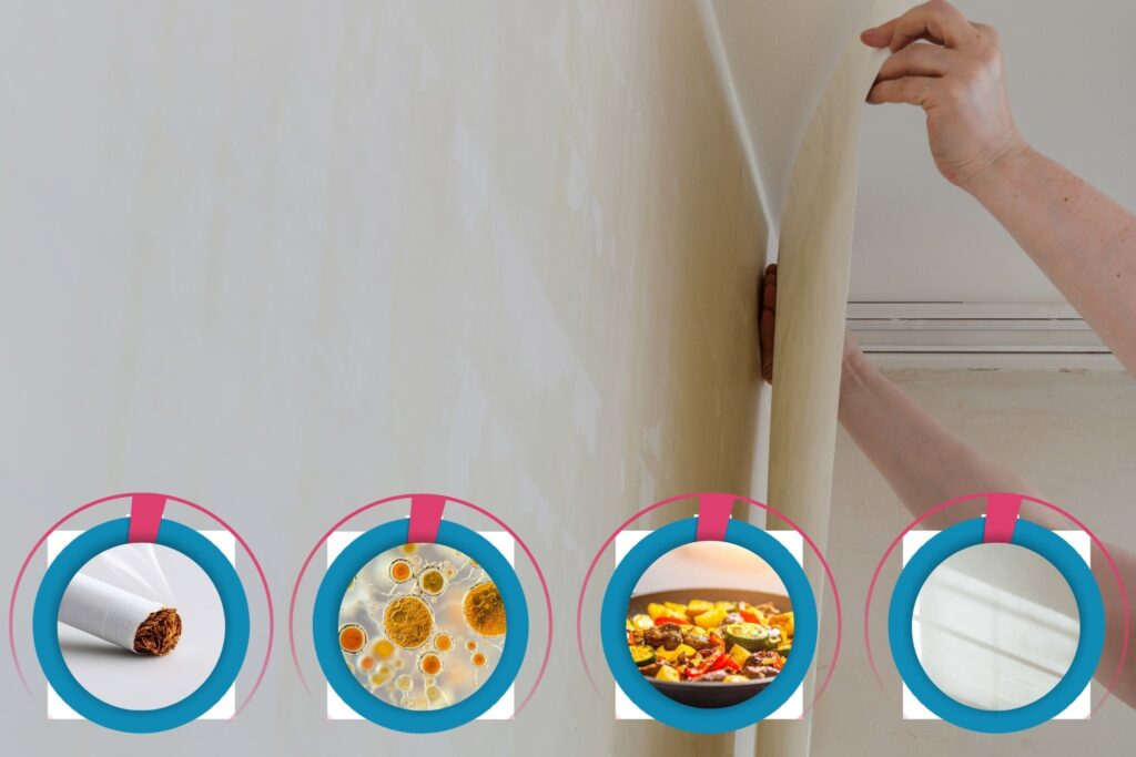 クロス張替えの目的と効果