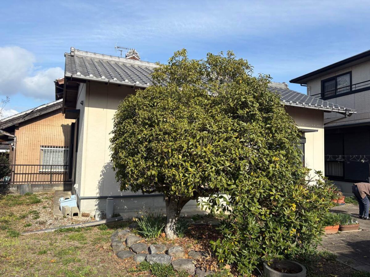 ご高齢の方も安心。庭木をさっぱり整え、暮らしにゆとりを生む剪定